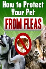 How To Protect Your Pet From Fleas