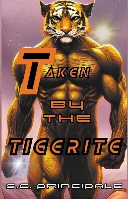 Taken by the Tigerite - S C Principale - cover