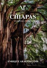 Chiapas: Antología poética