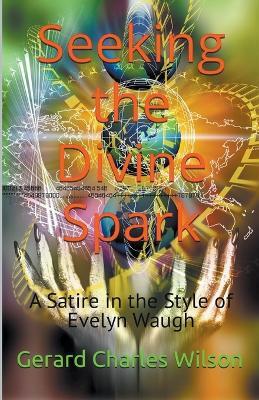 Seeking the Divine Spark - Gerard Charles Wilson - cover