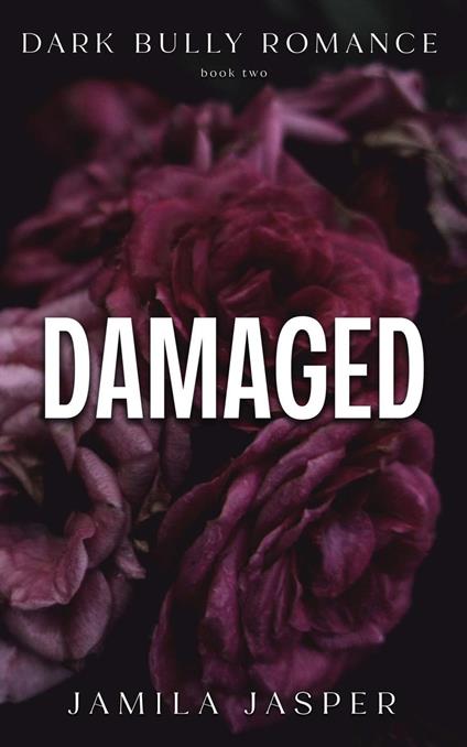 Damaged: Dark Bully Romance