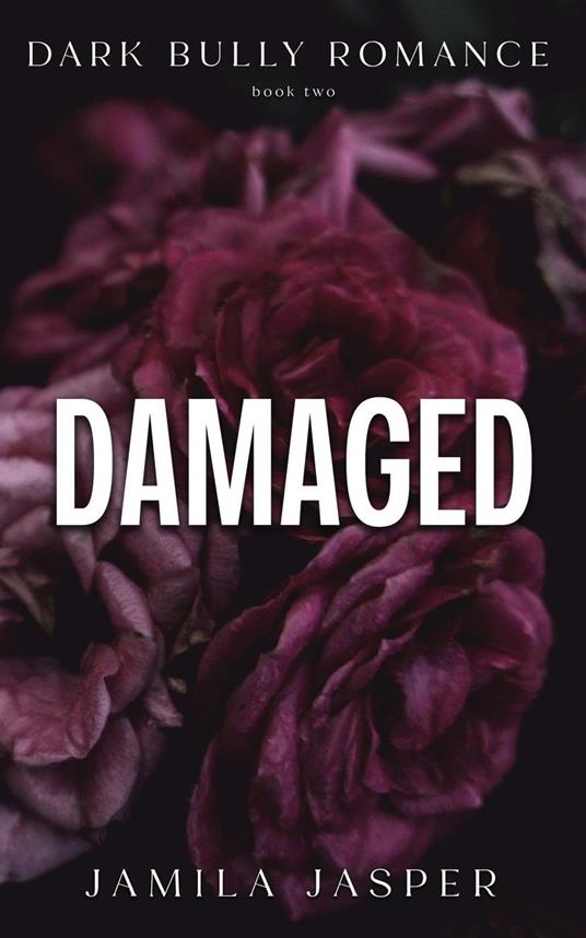Damaged: Dark Bully Romance