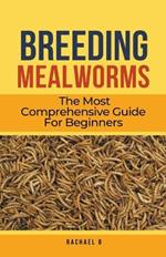 Breeding Mealworms: The Most Comprehensive Guide For Beginners