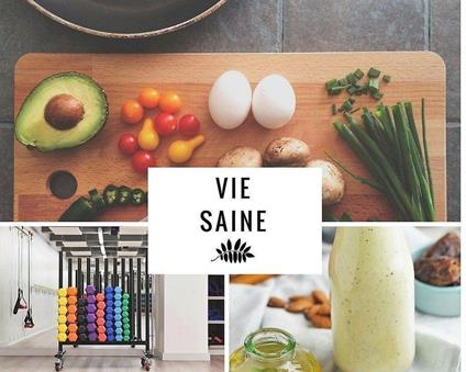Vie Saine - Emmanuel Agonse - ebook