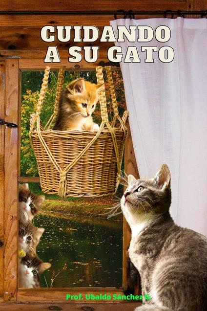 Cuidando A Su Gato