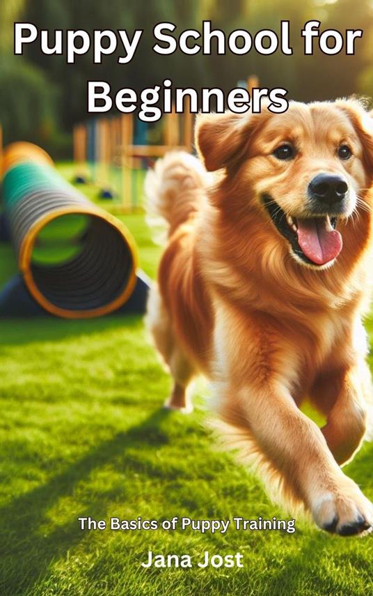 Puppy school for beginners, The Basics of Puppy Training