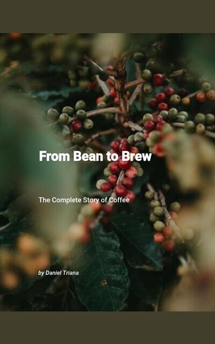 From Bean to Brew: The Complete Story of Coffee