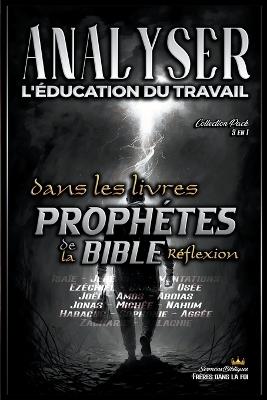 Analyser L'éducation du Travail dans les Livres Prophétiques de la Bible: Réflexion - Sermons Bibliques - cover