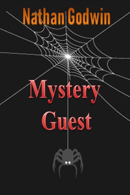 Mystery Guest - Nathan Godwin - ebook