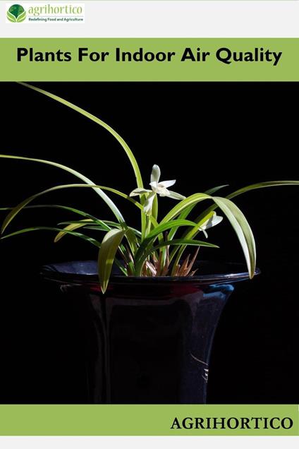 Plants for Indoor Air Quality