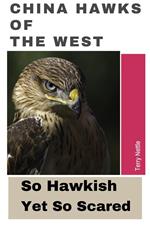 China Hawks Of The West: So Hawkish Yet So Scared