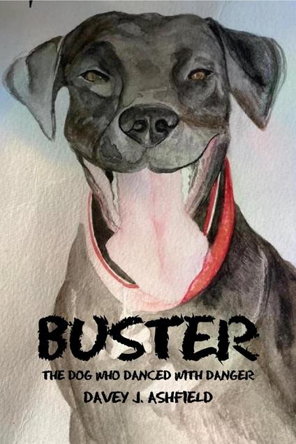 Buster: The Dog Who Danced With Danger - Davey J Ashfield - ebook