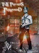 The Perverts Playground
