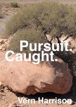 Pursuit. Caught.