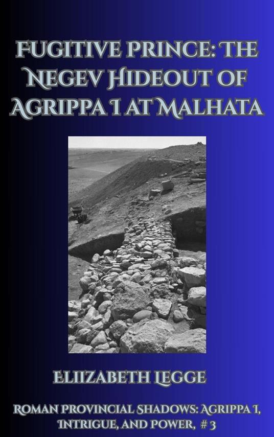 Fugitive Prince: The Negev Hideout of Agrippa I at Malhata