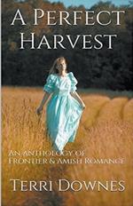 A Perfect Harvest