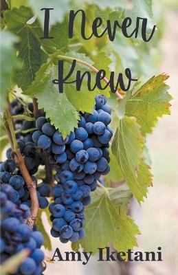 I Never Knew - Amy Iketani - cover