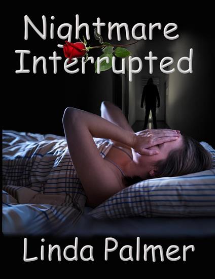 Nightmare Interrupted - Linda Palmer - ebook