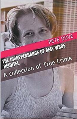 The Disappearance of Amy Wroe Bechtel - Pete Dove - cover