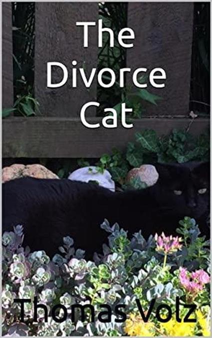 The Divorce Cat