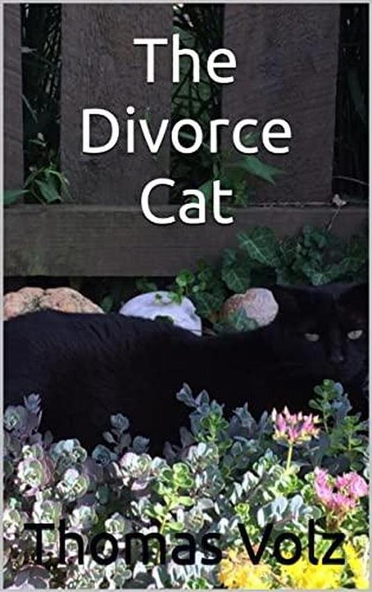 The Divorce Cat