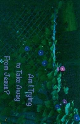 Am I Trying to Take Away From Jesus? - Stephen Meiner - cover