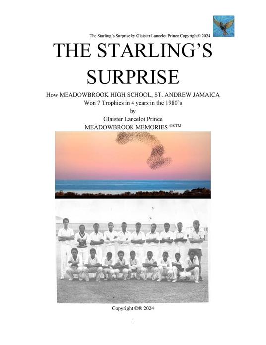The Starling's Surprise: How Meadowbrook High School, St. Andrew Jamaica Won 7 Trophies In 4 Years In The 1980’s
