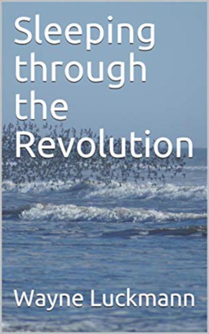 Sleeping through the Revolution