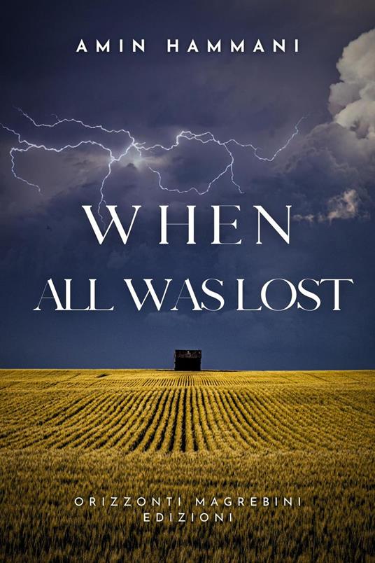 When All Was Lost - Amin Hammani - ebook