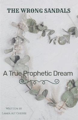 The Wrong Sandals - Ait Gherbi Lamia - cover