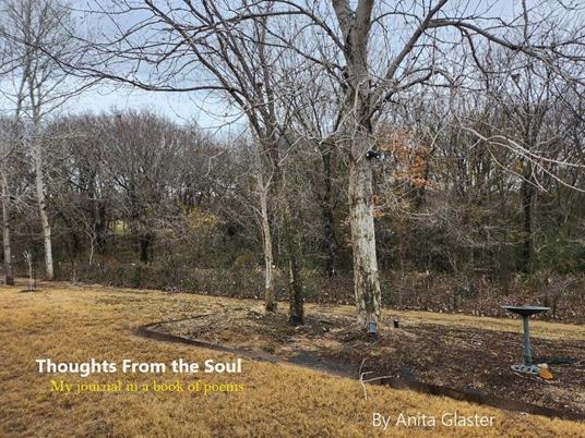 Thoughts From The Soul: My Journal In A Book Of Poems