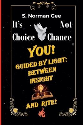 You Guided By Light Between Insight And Rite! - S Norman Gee - cover