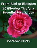 From Bud to Blossom: 10 Effortless Tips for a Beautiful Rose Garden