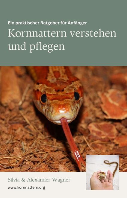 Kornnattern verstehen und pflegen: Ein praktischer Ratgeber