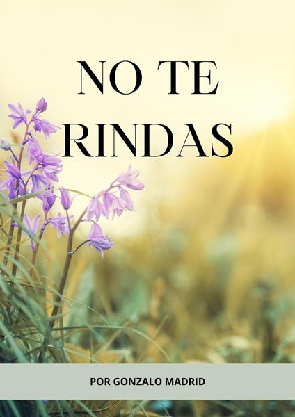 No te rindas - Gonzalo Madrid - ebook