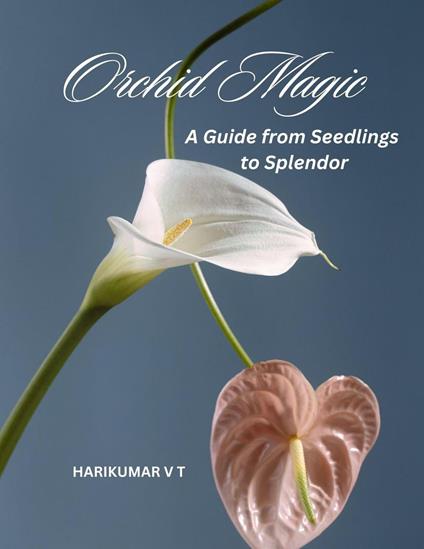 Orchid Magic: A Guide from Seedlings to Splendor