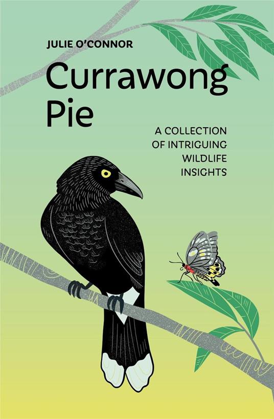 Currawong Pie: A collection of intriguing wildlife insights