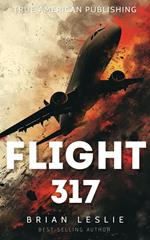 Flight 317