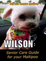 Wilson: Senior Care Guide for your Maltipoo