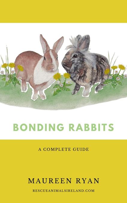 Bonding Rabbits: A Complete Guide
