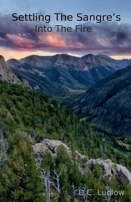 Into The FIre - D C Ludlow - cover