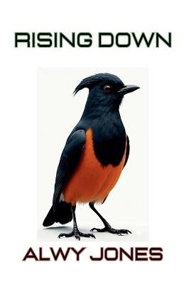 Rising Down - Alwy Jones - cover