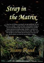Stray in the Matrix