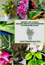 Identify and Control Diseases, Insects and Deficiencies in Your House Plants: Quick Identification Key