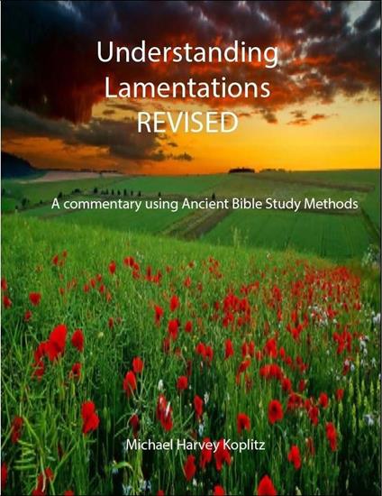 Understanding Lamentations - Revised - Michael Koplitz - ebook