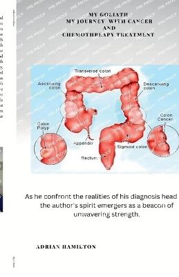 My Goliath - Adrian Hamilton - cover