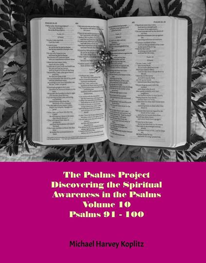 The Psalms Project Volume Ten - Discovering the Spiritual World through the Psalms – Psalm 91-100 - Michael Koplitz - ebook