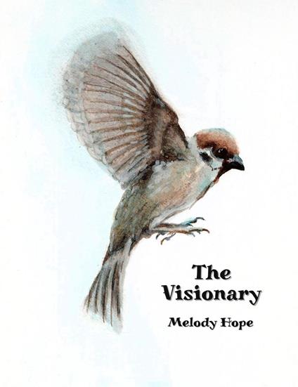 The Visionary - Melody Hope - ebook
