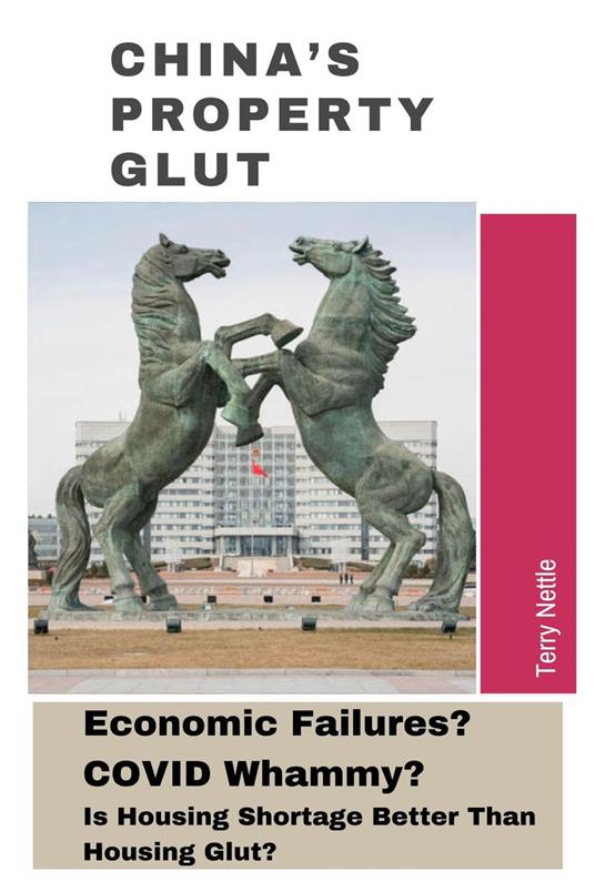 China's Property Glut: Economic Failures? COVID Whammy? Is Housing Shortage Better Than Housing Glut?