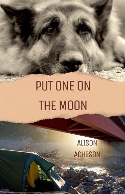 Put One On the Moon - Alison Acheson - cover